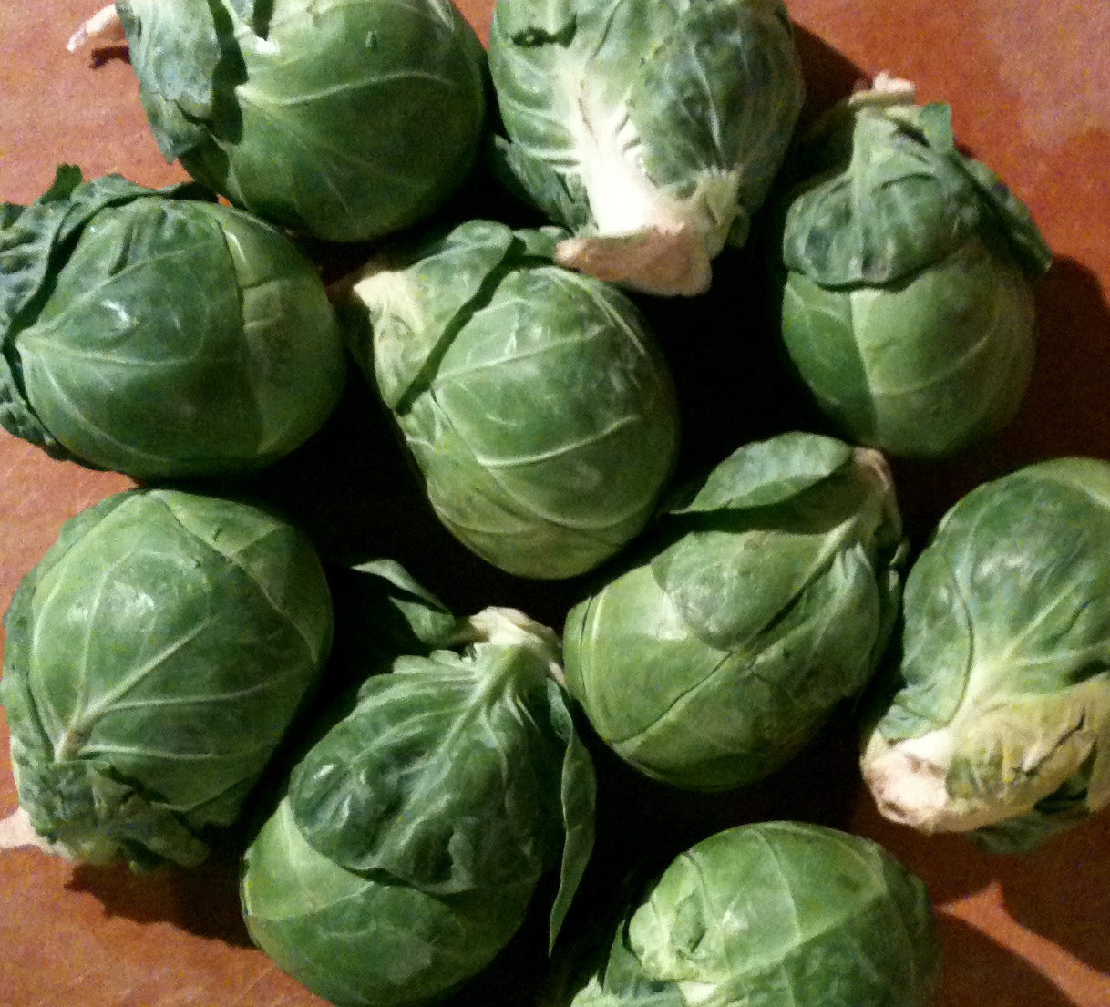 Brussels Sprouts – Learn why these little green balls are worth eating