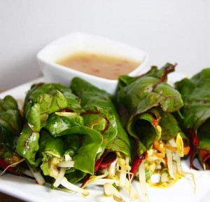Raw Spring Rolls - Must try these with these amazing dip recipes!