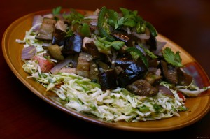 Paleo Eggplant Chicken Stir-Fry with Asian Cabbage Salad
