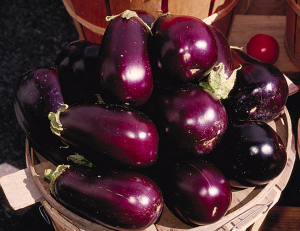 Fresh eggplants for easy-to-make Quinoa Eggplant Lasagna