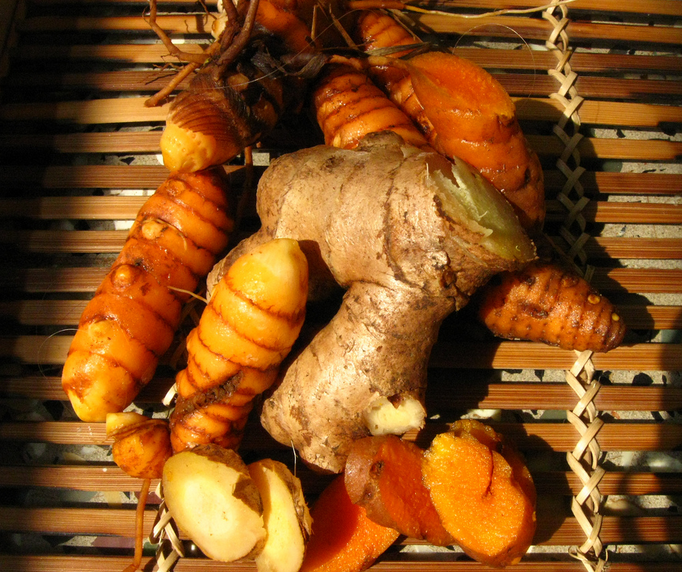 All in the family: Ginger root takes front center, while turmeric roots scour around