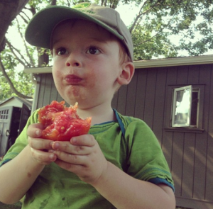 My son enjoying a healthy, non-GMO tomato