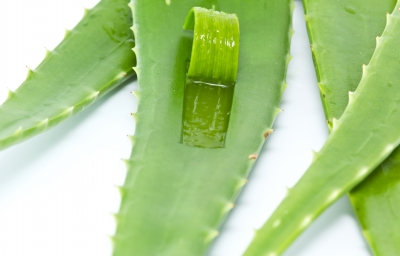 Aloe Vera: Health benefits when eating it!The Naked Label