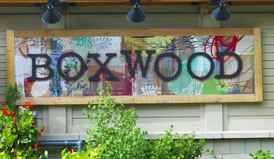 Boxwood Cafe Restaurant Review