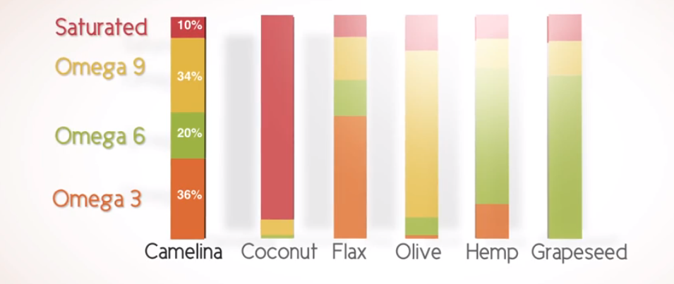 camelina oil fat profile
