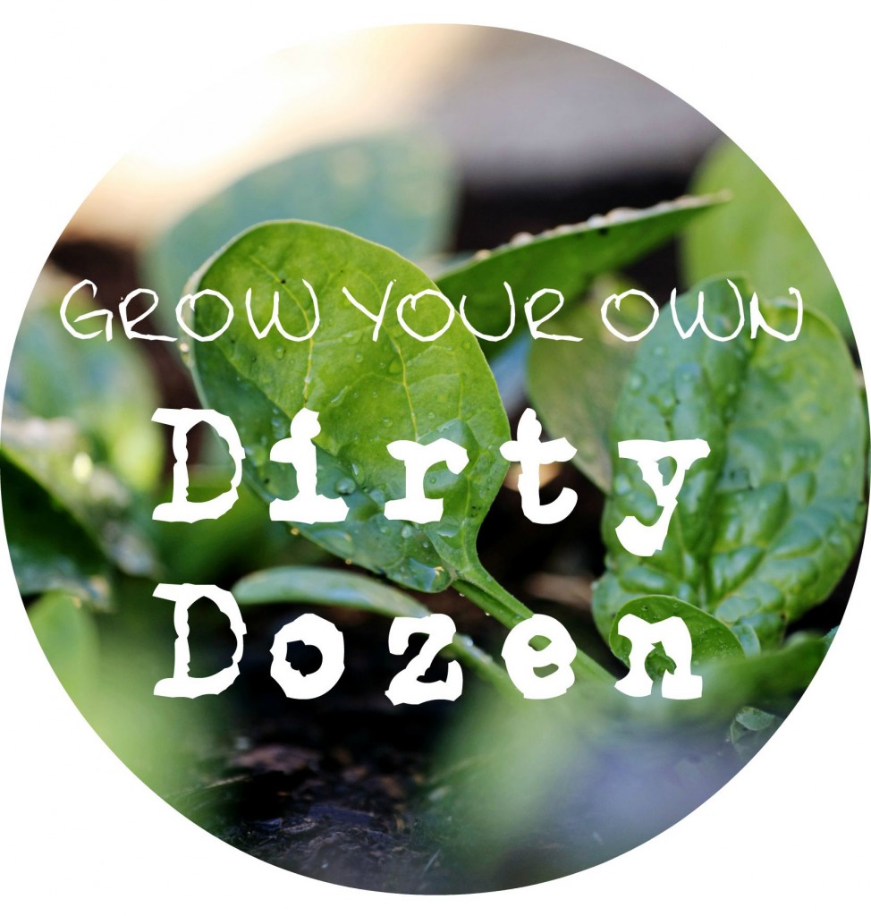 How To Easily Grow Your Own Dirty Dozen